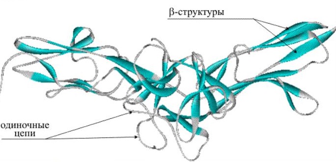 Пептиды