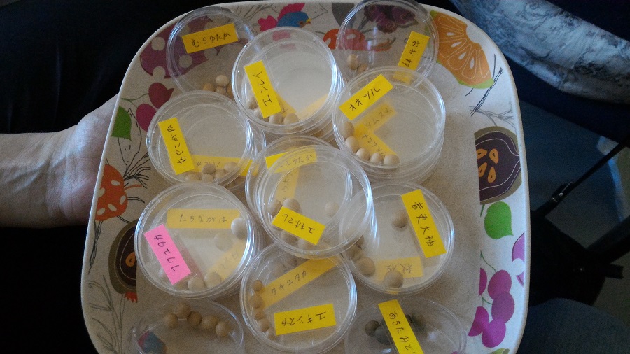 Лабораторные образцы сои - основа некоторой Японской косметики